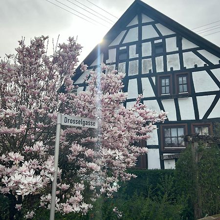 Das Pautzen Haus داون المظهر الخارجي الصورة