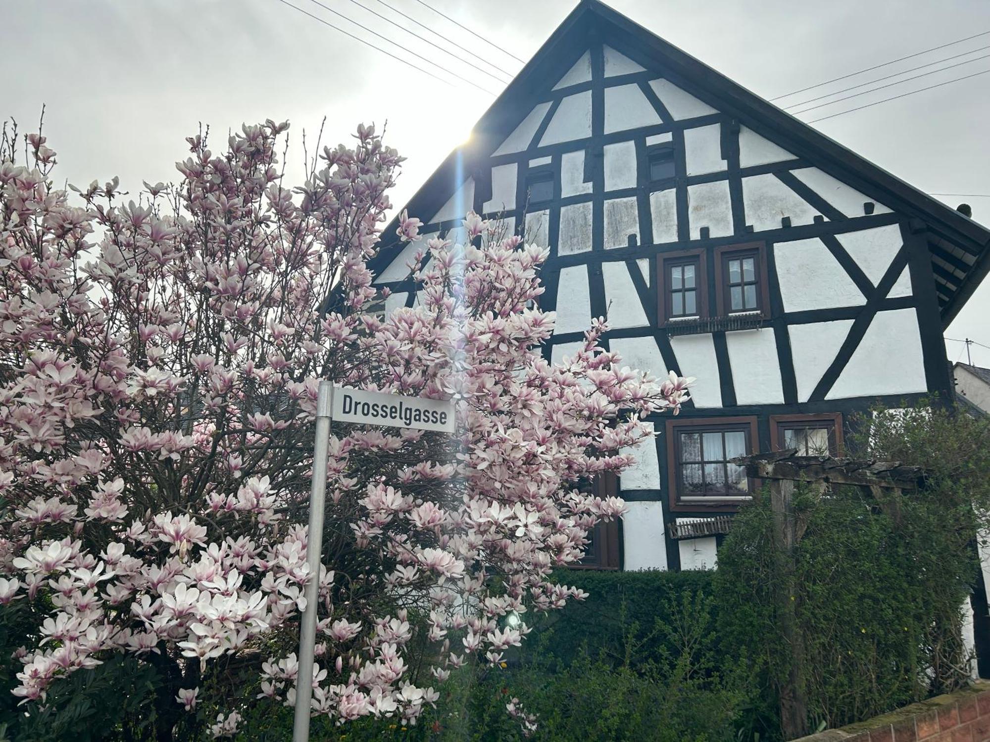 Das Pautzen Haus داون المظهر الخارجي الصورة